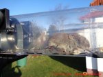PEECIOO - MäuseExpress - gefangene Maus